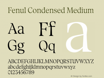 Fenul Condensed Medium Version 1.000;Glyphs 3.2 (3221)图片样张