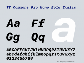 TT Commons Pro Mono Bold Italic Version 3.200.15122022图片样张