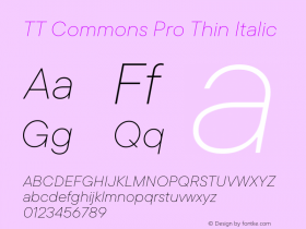 TT Commons Pro Thin Italic Version 3.200.15122022图片样张