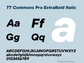 TT Commons Pro ExtraBold Italic Version 3.200.15122022图片样张
