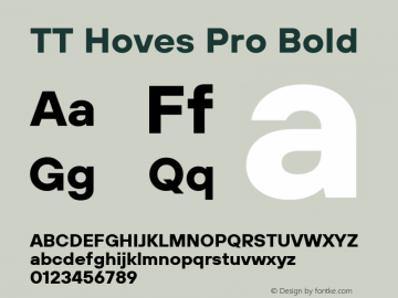TT Hoves Pro Bold Version 3.100.24032023图片样张