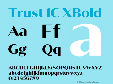 Trust 1C XBold Version 1.001图片样张