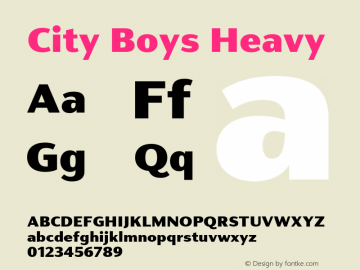 City Boys Heavy Version 1.000;hotconv 1.0.109;makeotfexe 2.5.65596图片样张