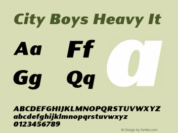 City Boys Heavy It Version 1.000;hotconv 1.0.109;makeotfexe 2.5.65596图片样张
