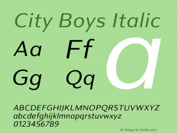 City Boys Italic Version 1.000;hotconv 1.0.109;makeotfexe 2.5.65596图片样张