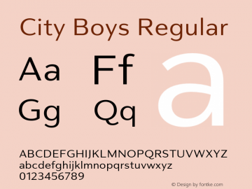 City Boys Regular Version 1.000;hotconv 1.0.109;makeotfexe 2.5.65596图片样张