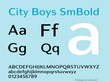 City Boys SmBold Version 1.000;hotconv 1.0.109;makeotfexe 2.5.65596图片样张