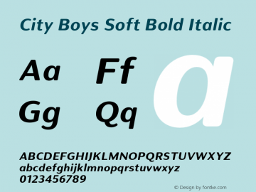 City Boys Soft Bold It Version 1.000;hotconv 1.0.109;makeotfexe 2.5.65596图片样张