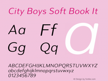 City Boys Soft Book It Version 1.000;hotconv 1.0.109;makeotfexe 2.5.65596图片样张