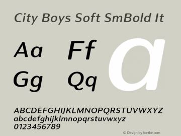 City Boys Soft SmBold It Version 1.000;hotconv 1.0.109;makeotfexe 2.5.65596图片样张