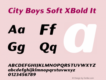 City Boys Soft XBold It Version 1.000;hotconv 1.0.109;makeotfexe 2.5.65596图片样张