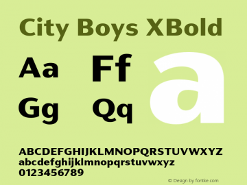 City Boys XBold Version 1.000;hotconv 1.0.109;makeotfexe 2.5.65596图片样张