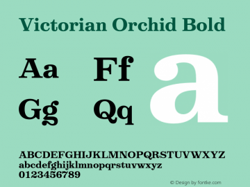 Victorian Orchid Bold Version 1.000;PS 001.000;hotconv 1.0.88;makeotf.lib2.5.64775图片样张