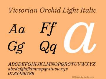 Victorian Orchid Light Italic Version 1.000;PS 001.000;hotconv 1.0.88;makeotf.lib2.5.64775图片样张