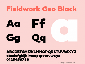 Fieldwork-Geo-Black Version 1.0图片样张