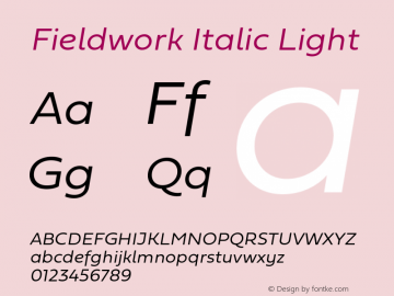 Fieldwork-ItalicLight Version 1.0图片样张