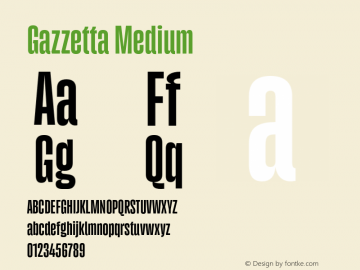 Gazzetta Medium Version 1.000;FEAKit 1.0图片样张