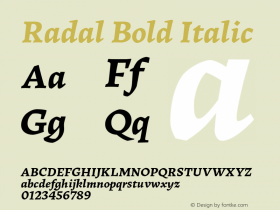 Radal Bold Italic Version 1.003;PS 001.003;hotconv 1.0.88;makeotf.lib2.5.64775图片样张