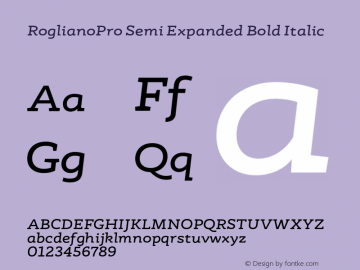 RoglianoPro Semi Expanded Bold Italic Version 1.000;hotconv 1.0.109;makeotfexe 2.5.65596图片样张