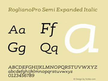 RoglianoPro Semi Expanded Italic Version 1.000;hotconv 1.0.109;makeotfexe 2.5.65596图片样张