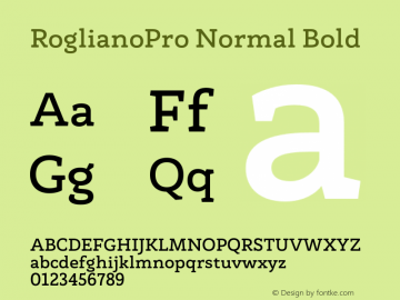 RoglianoPro Normal Bold Version 1.000;hotconv 1.0.109;makeotfexe 2.5.65596图片样张