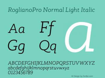 RoglianoPro Normal Light Italic Version 1.000;hotconv 1.0.109;makeotfexe 2.5.65596图片样张