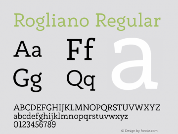 Rogliano Regular Version 1.000;PS 001.000;hotconv 1.0.88;makeotf.lib2.5.64775图片样张