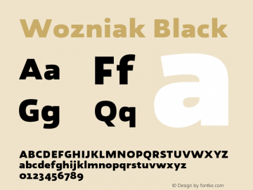 Wozniak Black Version 1.005;PS 001.005;hotconv 1.0.88;makeotf.lib2.5.64775图片样张