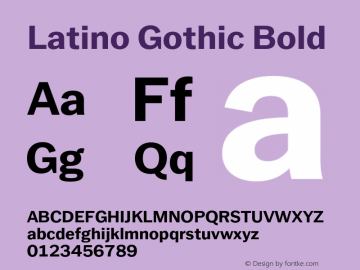 Latino Gothic Bold Version 1.000;FEAKit 1.0图片样张