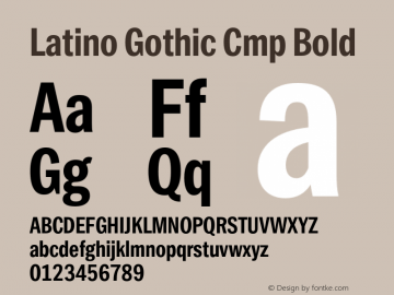 Latino Gothic Cmp Bold Version 1.000;FEAKit 1.0图片样张