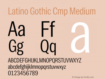 Latino Gothic Cmp Medium Version 1.000;FEAKit 1.0图片样张