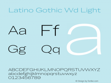 Latino Gothic Wd Light Version 1.000;FEAKit 1.0图片样张