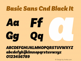 Basic Sans Cnd Black It Version 2.000;PS 002.000;hotconv 1.0.88;makeotf.lib2.5.64775图片样张