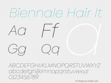 Biennale Hair It Version 1.001;hotconv 1.0.109;makeotfexe 2.5.65596图片样张