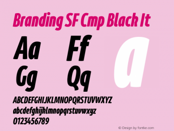 Branding SF Cmp Black It Version 1.000;hotconv 1.0.109;makeotfexe 2.5.65596图片样张