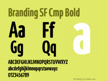 Branding SF Cmp Bold Version 1.000;hotconv 1.0.109;makeotfexe 2.5.65596图片样张