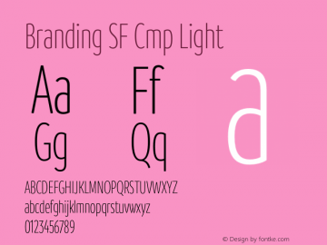 Branding SF Cmp Light Version 1.000;hotconv 1.0.109;makeotfexe 2.5.65596图片样张