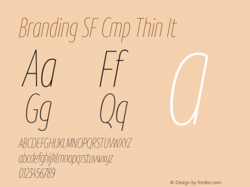 Branding SF Cmp Thin It Version 1.000;hotconv 1.0.109;makeotfexe 2.5.65596图片样张