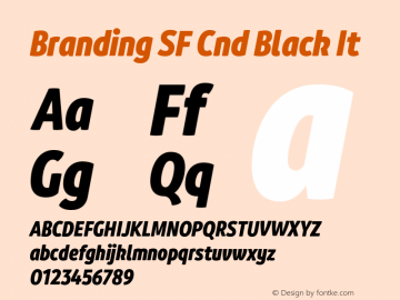 Branding SF Cnd Black It Version 1.000;hotconv 1.0.109;makeotfexe 2.5.65596图片样张