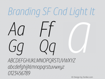 Branding SF Cnd Light It Version 1.000;hotconv 1.0.109;makeotfexe 2.5.65596图片样张