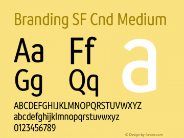 Branding SF Cnd Medium Version 1.000;hotconv 1.0.109;makeotfexe 2.5.65596图片样张