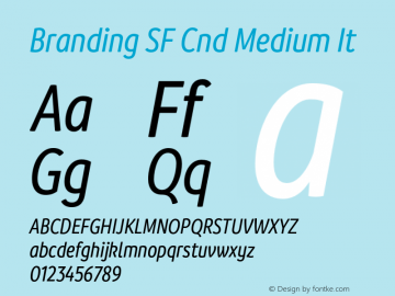 Branding SF Cnd Medium It Version 1.000;hotconv 1.0.109;makeotfexe 2.5.65596图片样张