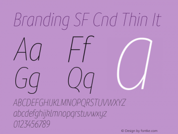 Branding SF Cnd Thin It Version 1.000;hotconv 1.0.109;makeotfexe 2.5.65596图片样张