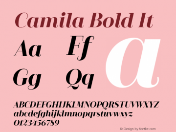 Camila-BoldIt Version 1.000;PS 001.000;hotconv 1.0.88;makeotf.lib2.5.64775图片样张
