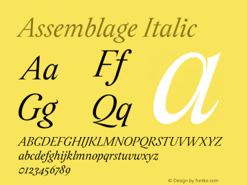 Assemblage-Italic Version 1.000;PS 001.000;hotconv 1.0.88;makeotf.lib2.5.64775图片样张