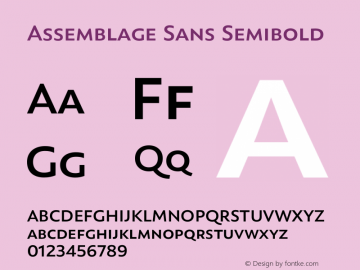 Assemblage-SansSemibold Version 1.000;PS 001.000;hotconv 1.0.88;makeotf.lib2.5.64775图片样张