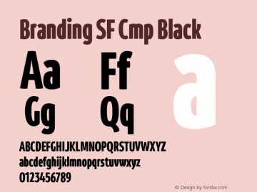 Branding SF Cmp Black Version 1.000;hotconv 1.0.109;makeotfexe 2.5.65596图片样张