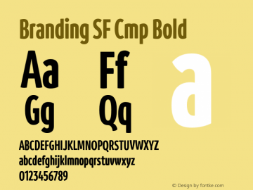 Branding SF Cmp Bold Version 1.000;hotconv 1.0.109;makeotfexe 2.5.65596图片样张