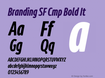 Branding SF Cmp Bold It Version 1.000;hotconv 1.0.109;makeotfexe 2.5.65596图片样张