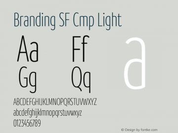 Branding SF Cmp Light Version 1.000;hotconv 1.0.109;makeotfexe 2.5.65596图片样张